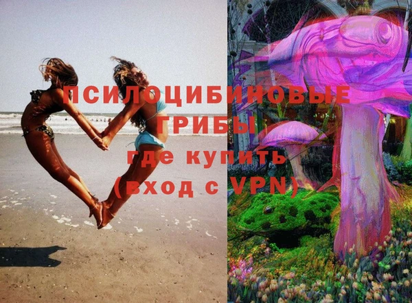 тгк Арсеньев