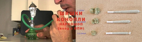 тгк Арсеньев