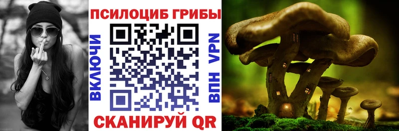 kraken ТОР  магазин    Городец  Галлюциногенные грибы ЛСД 